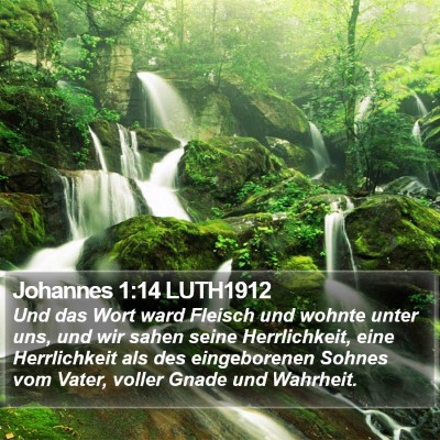 Johannes 1:14 LUTH1912 Bible Verse Image