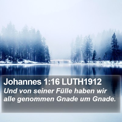 Johannes 1:16 LUTH1912 Bible Verse Image