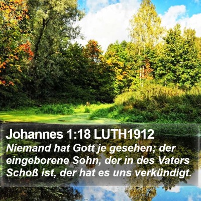 Johannes 1:18 LUTH1912 Bible Verse Image