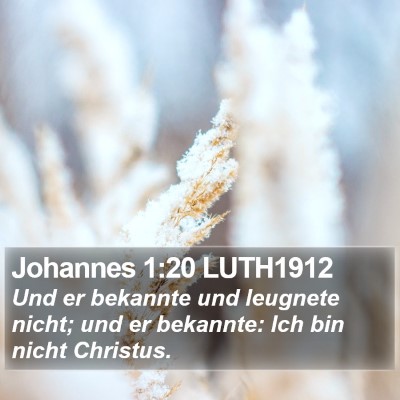 Johannes 1:20 LUTH1912 Bible Verse Image