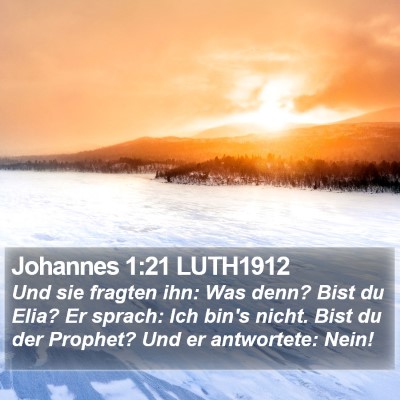 Johannes 1:21 LUTH1912 Bible Verse Image