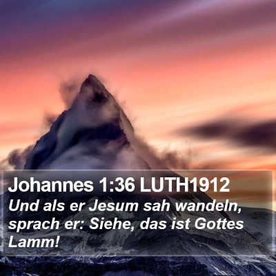 Johannes 1:36 LUTH1912 Bible Verse Image