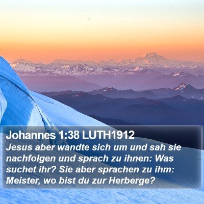 Johannes 1:38 LUTH1912 Bible Verse Image
