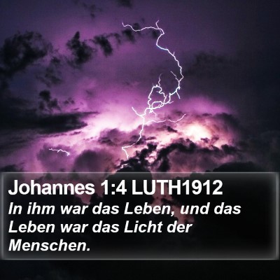 Johannes 1:4 LUTH1912 Bible Verse Image