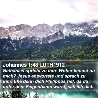 Johannes 1:48 LUTH1912 Bible Verse Image