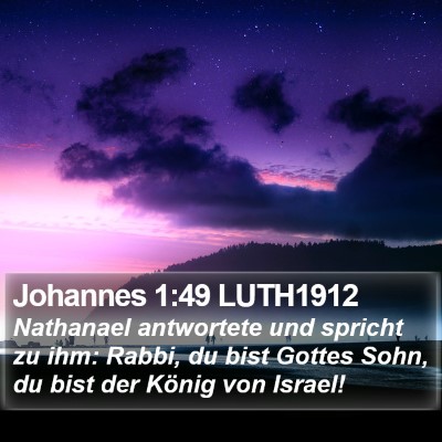 Johannes 1:49 LUTH1912 Bible Verse Image