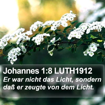 Johannes 1:8 LUTH1912 Bible Verse Image