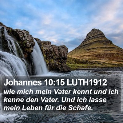 Johannes 10:15 LUTH1912 Bible Verse Image