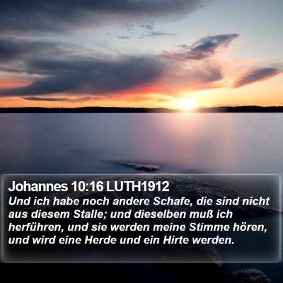 Johannes 10:16 LUTH1912 Bible Verse Image