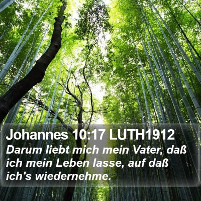 Johannes 10:17 LUTH1912 Bible Verse Image
