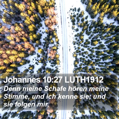 Johannes 10:27 LUTH1912 Bible Verse Image