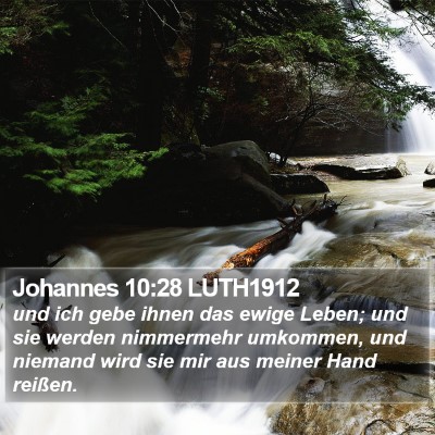 Johannes 10:28 LUTH1912 Bible Verse Image