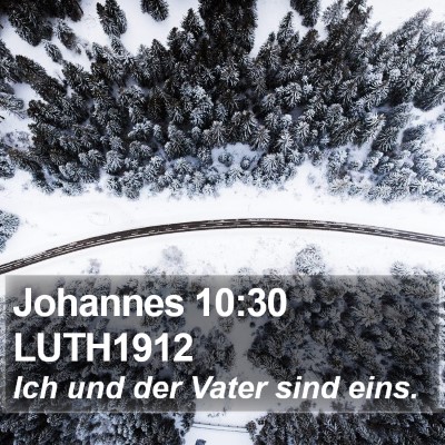 Johannes 10:30 LUTH1912 Bible Verse Image