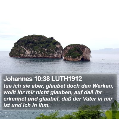 Johannes 10:38 LUTH1912 Bible Verse Image