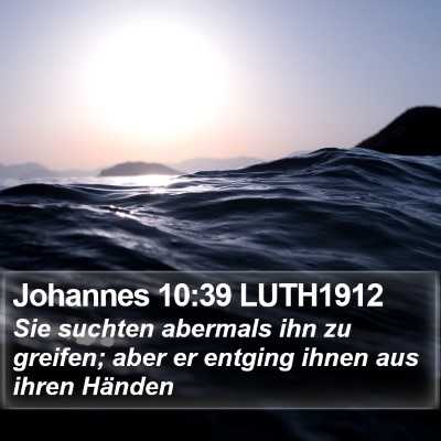 Johannes 10:39 LUTH1912 Bible Verse Image