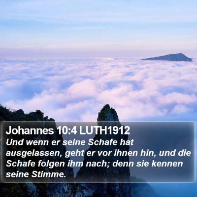 Johannes 10:4 LUTH1912 Bible Verse Image