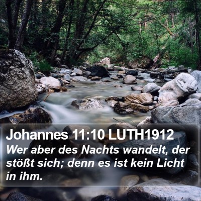 Johannes 11:10 LUTH1912 Bible Verse Image