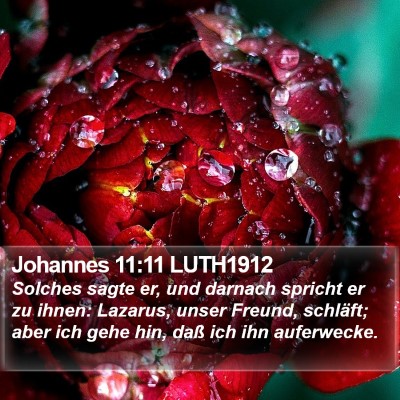 Johannes 11:11 LUTH1912 Bible Verse Image