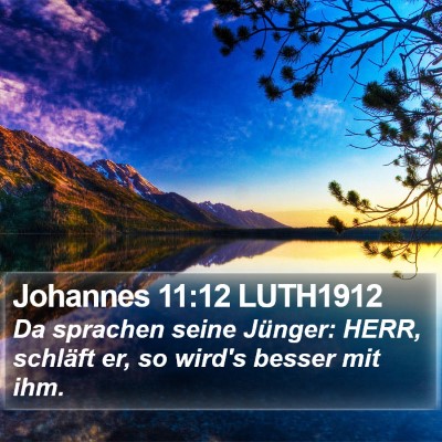 Johannes 11:12 LUTH1912 Bible Verse Image