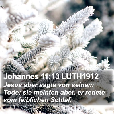 Johannes 11:13 LUTH1912 Bible Verse Image