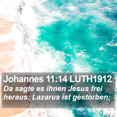 Johannes 11:14 LUTH1912 Bible Verse Image
