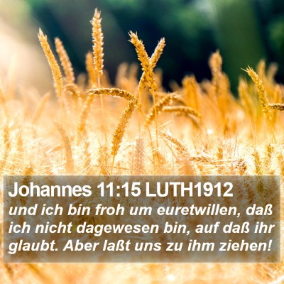 Johannes 11:15 LUTH1912 Bible Verse Image