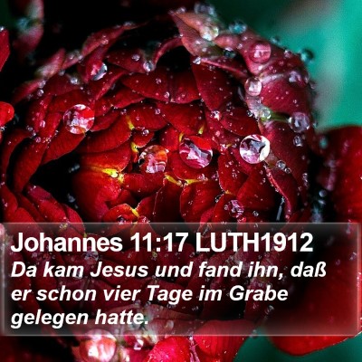 Johannes 11:17 LUTH1912 Bible Verse Image