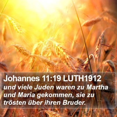 Johannes 11:19 LUTH1912 Bible Verse Image