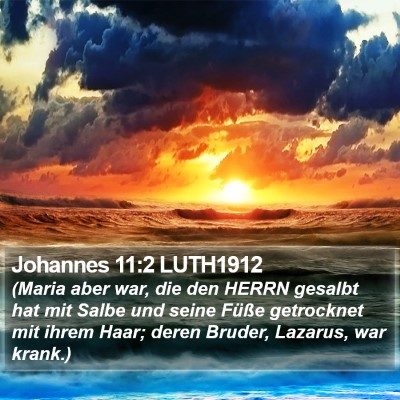 Johannes 11:2 LUTH1912 Bible Verse Image