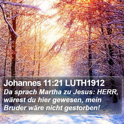 Johannes 11:21 LUTH1912 Bible Verse Image