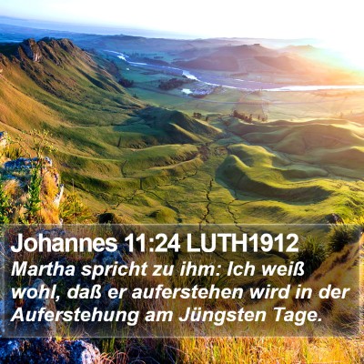 Johannes 11:24 LUTH1912 Bible Verse Image