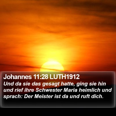 Johannes 11:28 LUTH1912 Bible Verse Image