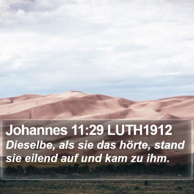 Johannes 11:29 LUTH1912 Bible Verse Image
