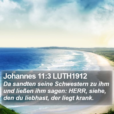 Johannes 11:3 LUTH1912 Bible Verse Image