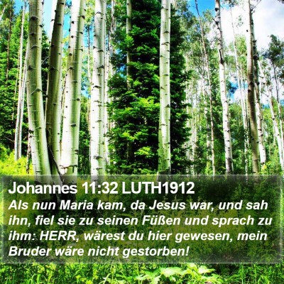 Johannes 11:32 LUTH1912 Bible Verse Image