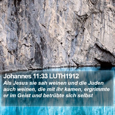 Johannes 11:33 LUTH1912 Bible Verse Image