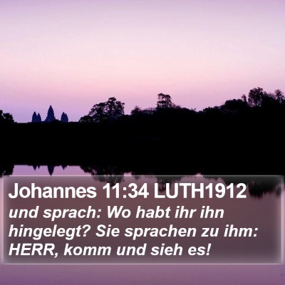 Johannes 11:34 LUTH1912 Bible Verse Image