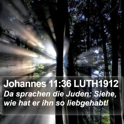 Johannes 11:36 LUTH1912 Bible Verse Image