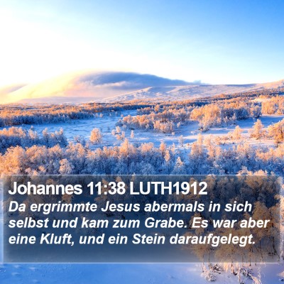 Johannes 11:38 LUTH1912 Bible Verse Image