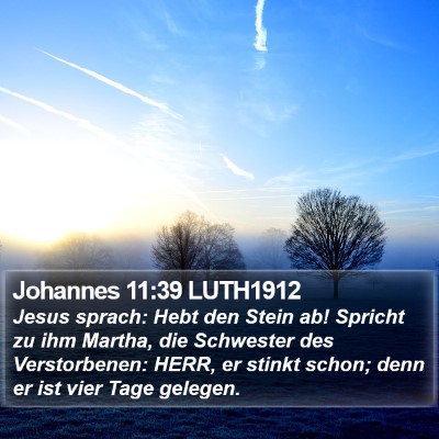 Johannes 11:39 LUTH1912 Bible Verse Image