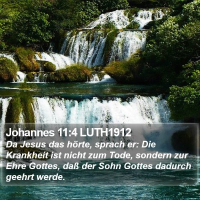 Johannes 11:4 LUTH1912 Bible Verse Image