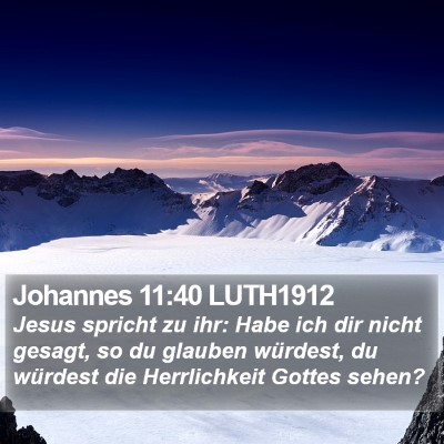 Johannes 11:40 LUTH1912 Bible Verse Image