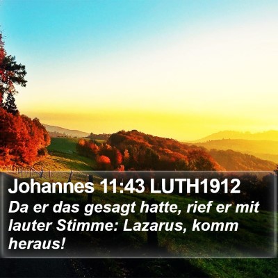 Johannes 11:43 LUTH1912 Bible Verse Image