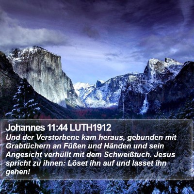 Johannes 11:44 LUTH1912 Bible Verse Image