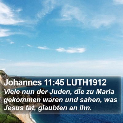 Johannes 11:45 LUTH1912 Bible Verse Image