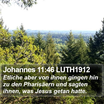 Johannes 11:46 LUTH1912 Bible Verse Image