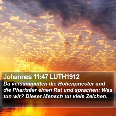 Johannes 11:47 LUTH1912 Bible Verse Image