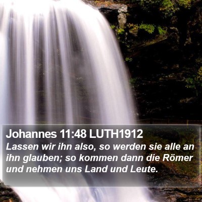 Johannes 11:48 LUTH1912 Bible Verse Image