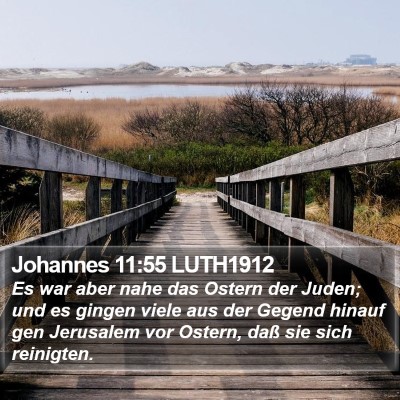 Johannes 11:55 LUTH1912 Bible Verse Image