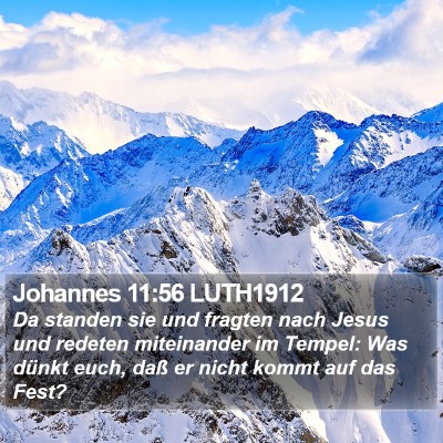 Johannes 11:56 LUTH1912 Bible Verse Image